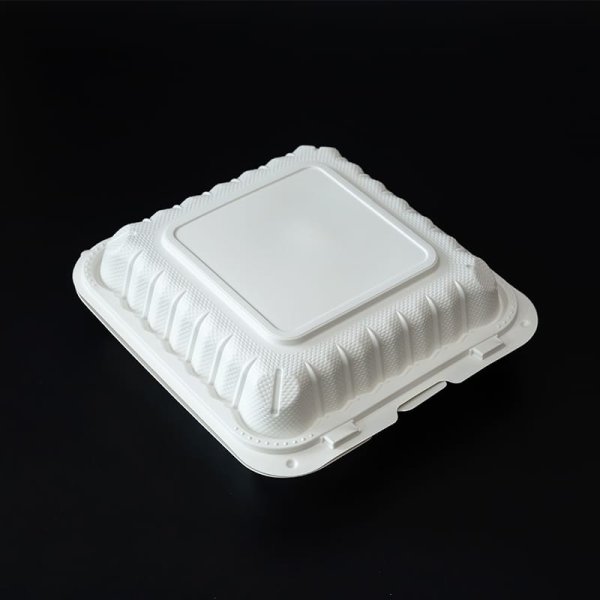disposable fast food container 